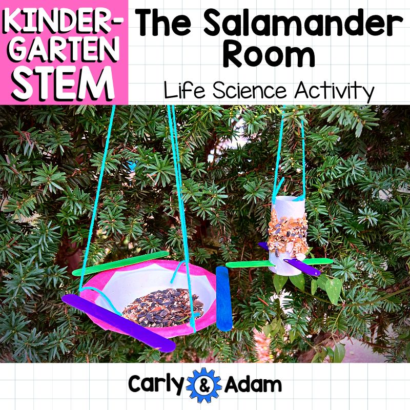 Kindergarten Science Lesson Build a Bird Feeder STEM Activity — preview 1