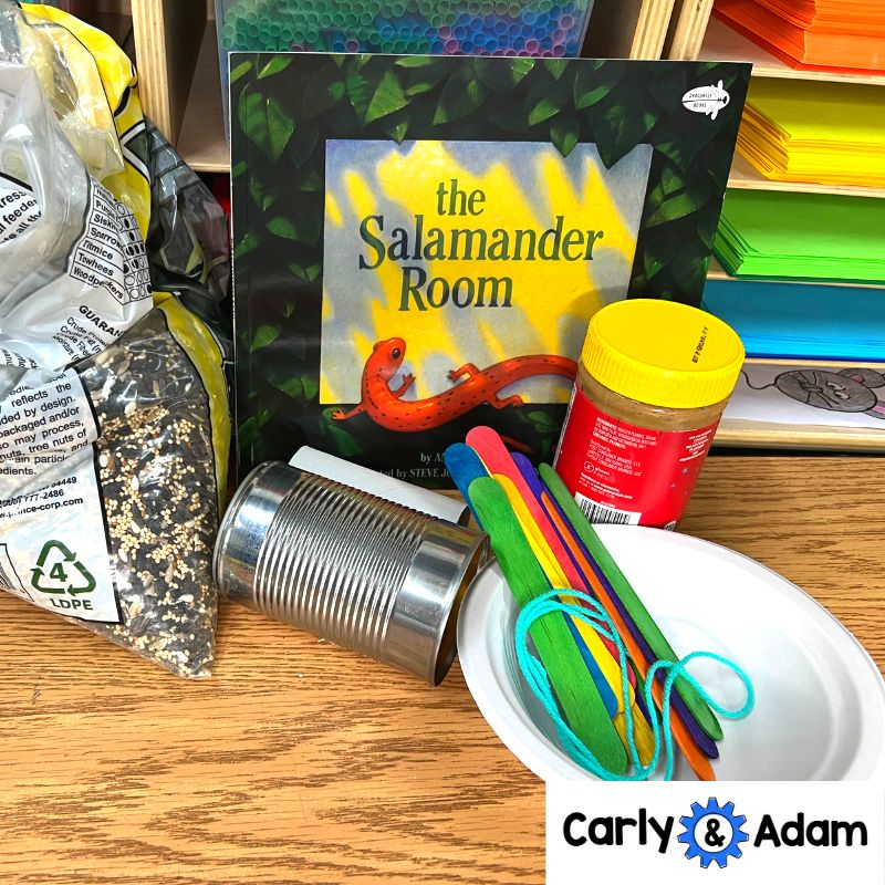 Kindergarten Science Lesson Build a Bird Feeder STEM Activity — preview 2