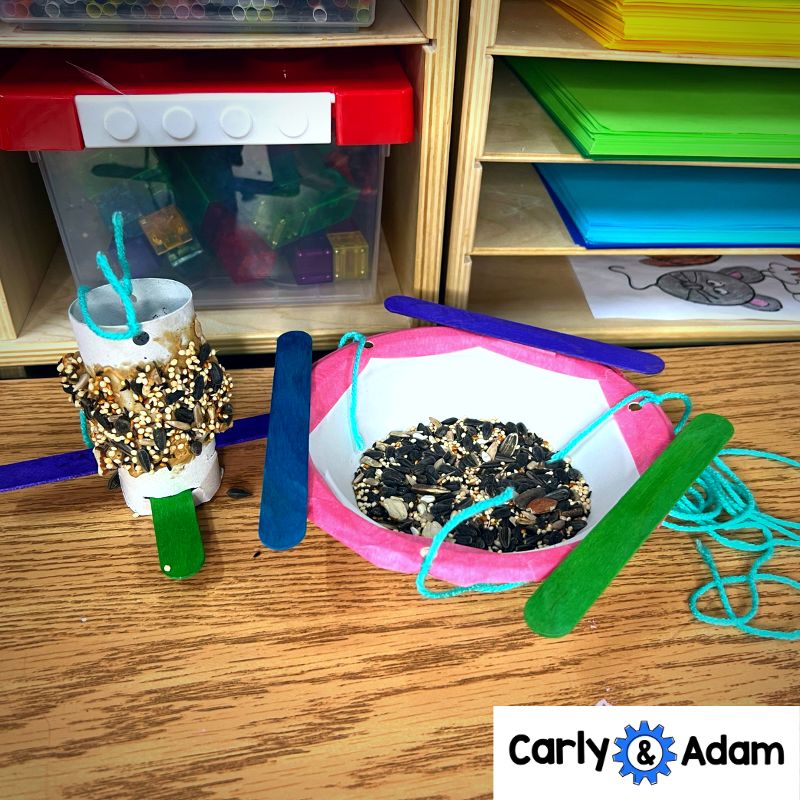 Kindergarten Science Lesson Build a Bird Feeder STEM Activity — preview 3