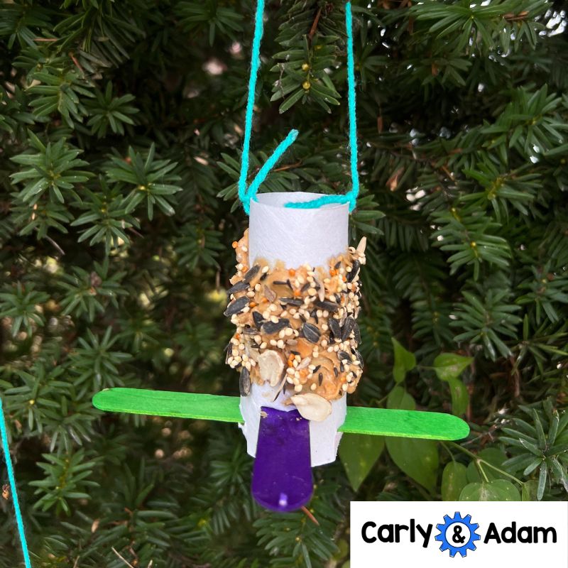 Kindergarten Science Lesson Build a Bird Feeder STEM Activity — preview 4
