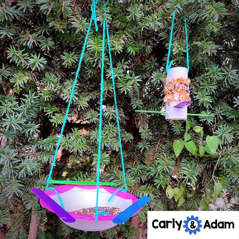 Kindergarten Science Lesson Build a Bird Feeder STEM Activity — preview 5