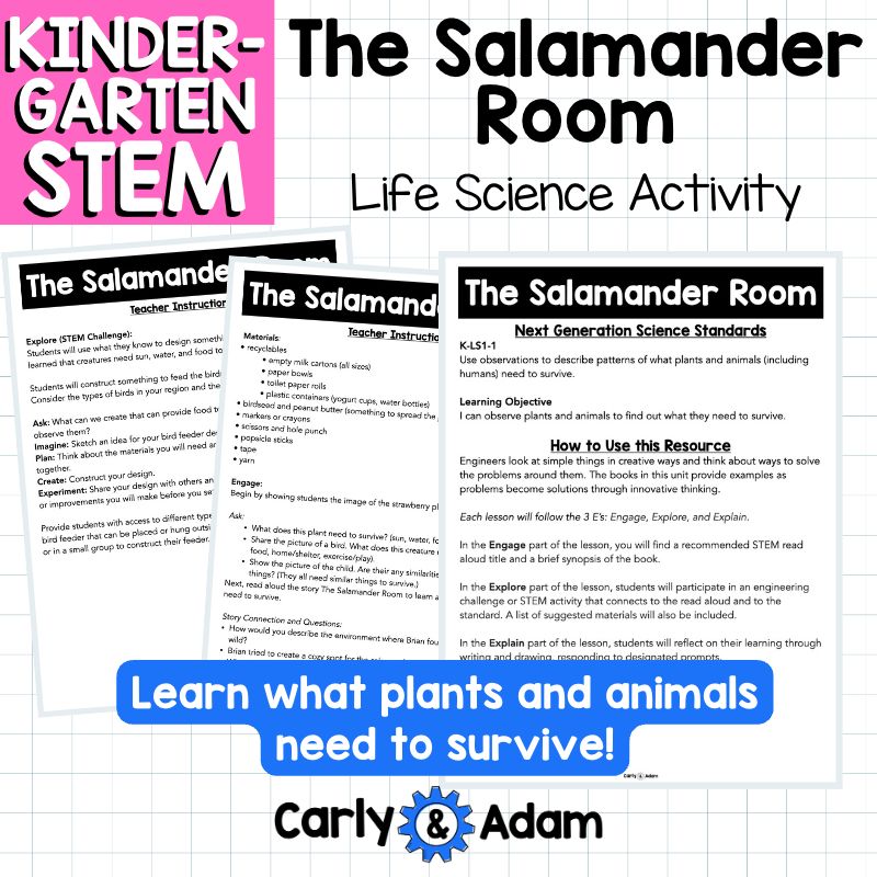 Kindergarten Science Lesson Build a Bird Feeder STEM Activity — preview 6