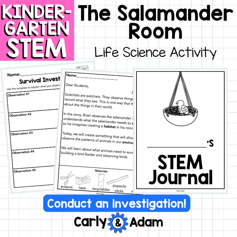 Kindergarten Science Lesson Build a Bird Feeder STEM Activity — preview 7