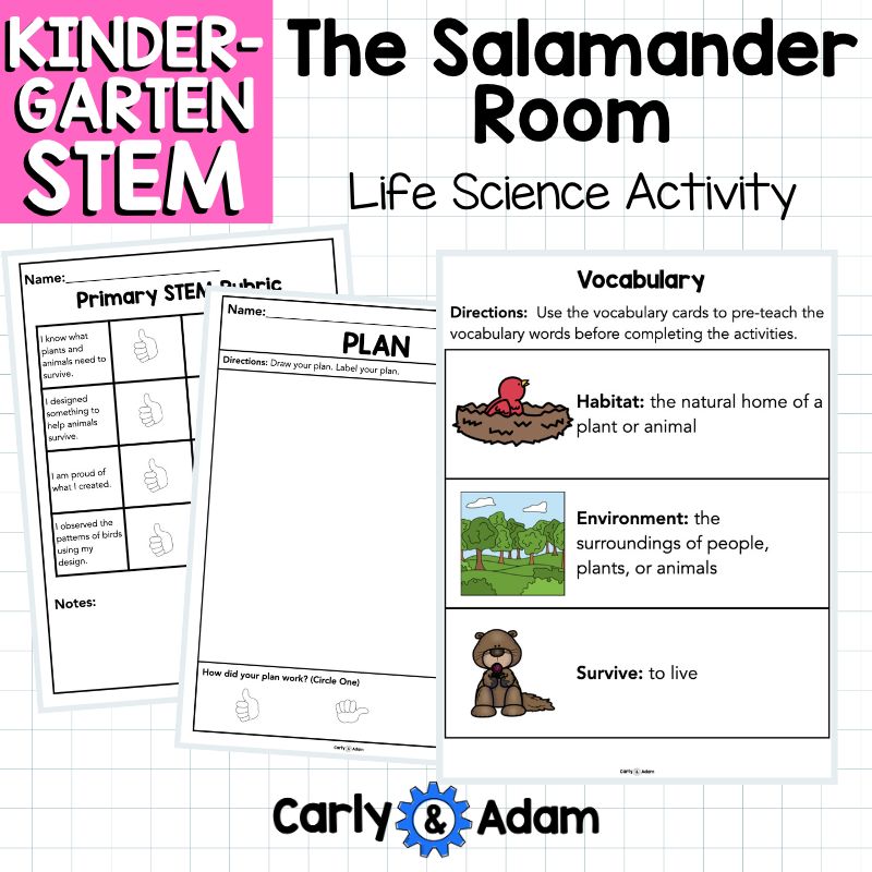 Kindergarten Science Lesson Build a Bird Feeder STEM Activity — preview 8