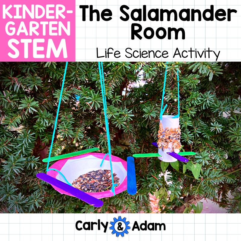 Kindergarten Science Lesson Build a Bird Feeder STEM Activity — preview 9
