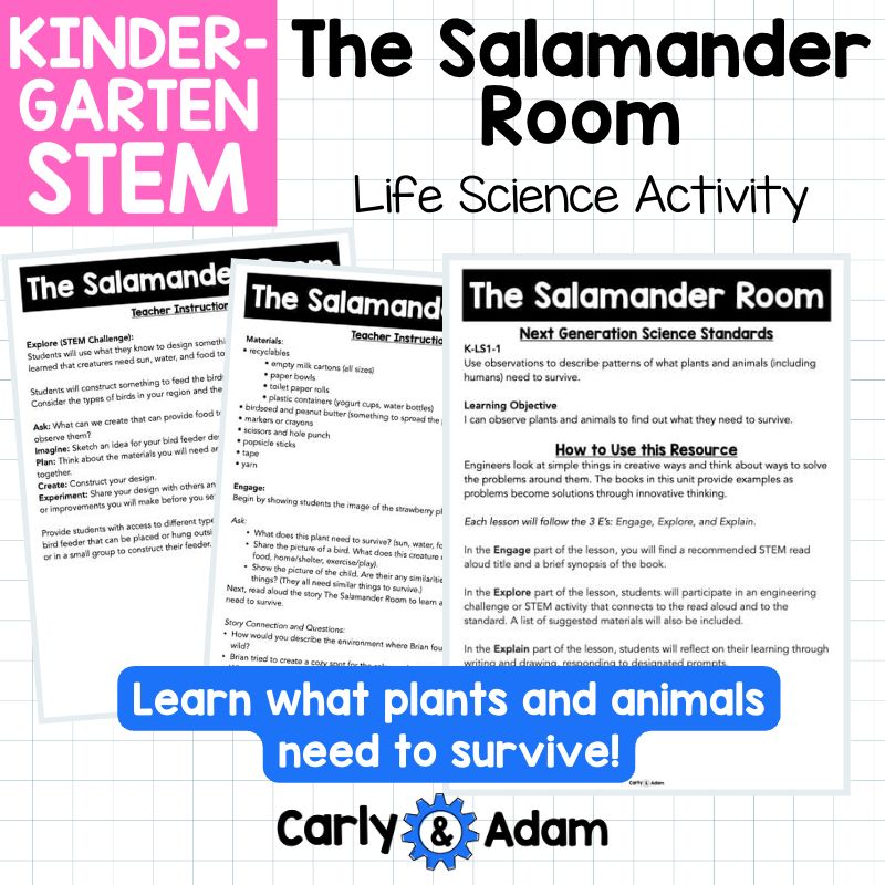 Kindergarten Science Lesson Build a Bird Feeder STEM Activity — preview 10