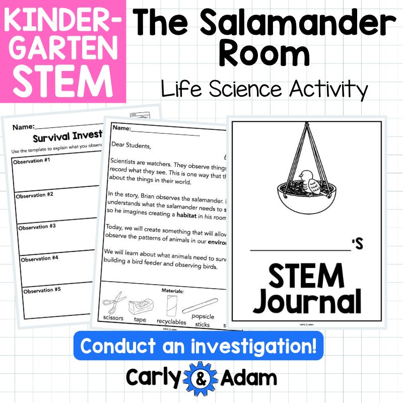 Kindergarten Science Lesson Build a Bird Feeder STEM Activity — preview 11