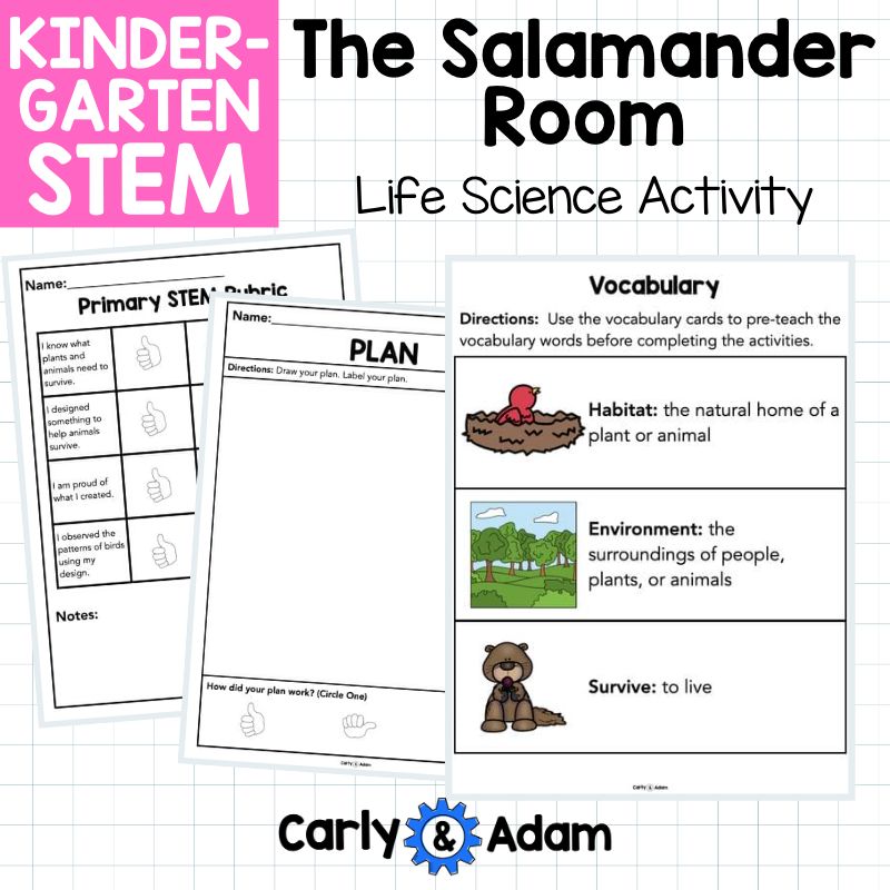 Kindergarten Science Lesson Build a Bird Feeder STEM Activity — preview 12