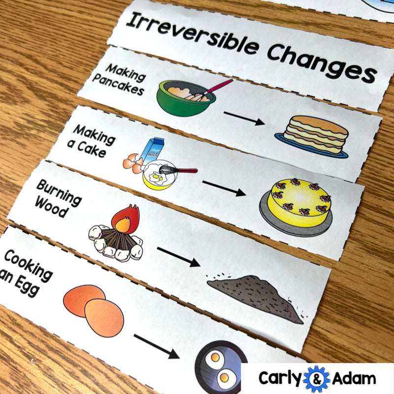 2nd Grade Science Activity Melting Matter Reversible and Irreversible Changes — preview 9