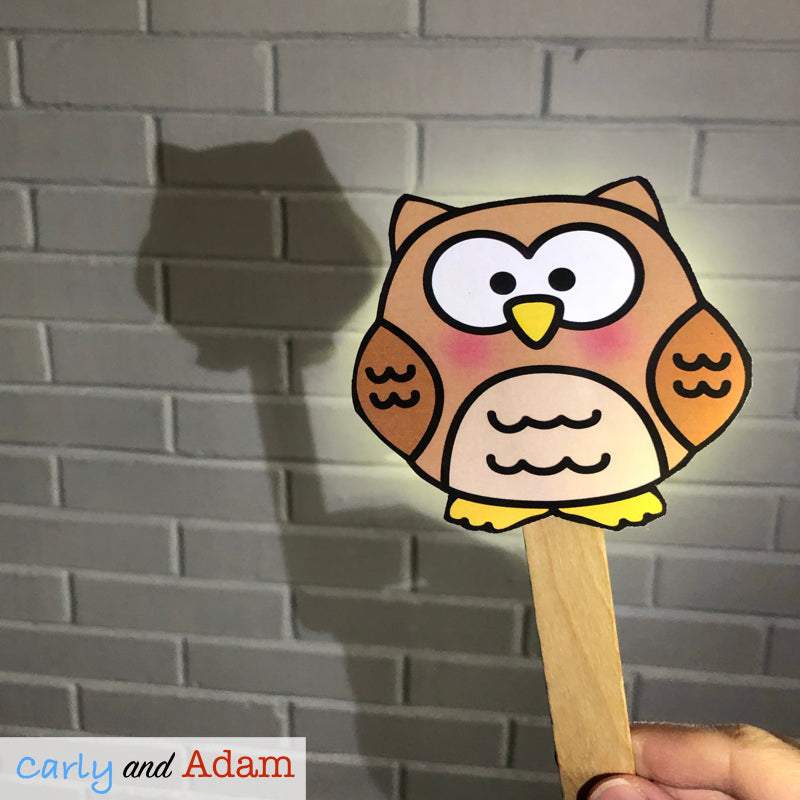 Owl Moon READ ALOUD STEM™ Activity Light and Shadows Investigation
