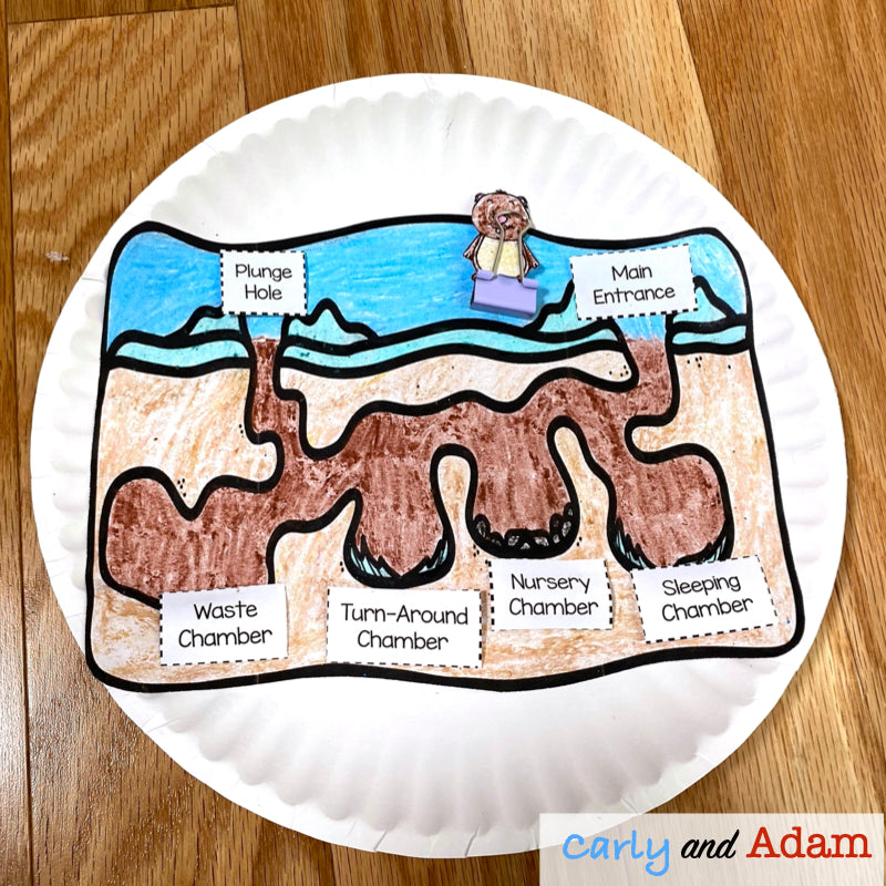 Groundhog Gets a Say READ ALOUD STEM Activity