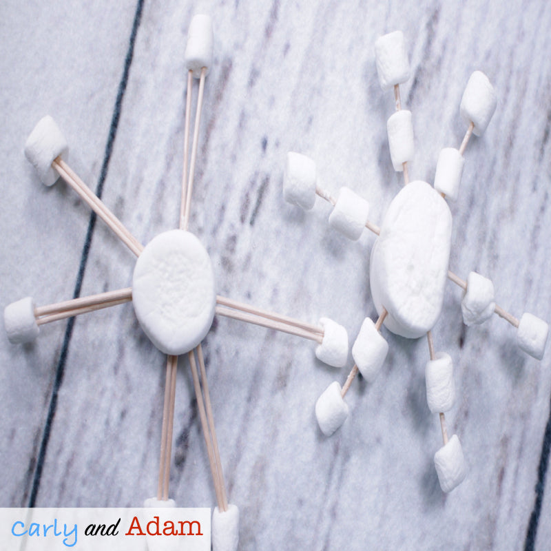 Snowflake Bentley Winter READ ALOUD STEM Activity