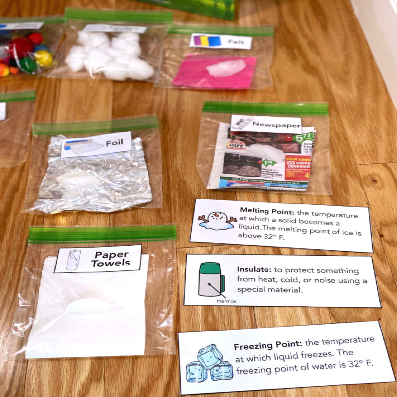 Snowmen All Year Winter Science Experiment READ ALOUD STEM Activity