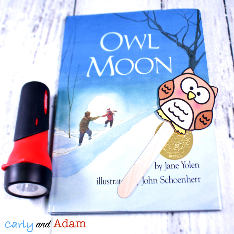Owl Moon READ ALOUD STEM™ Activity Light and Shadows Investigation
