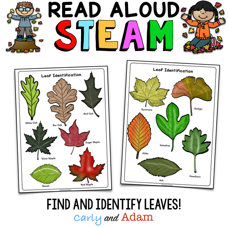 Leaf Man Autumn STEAM Activity