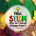 Why Do Leaves Change Color? Autumn Leaves Fall STEM Activity