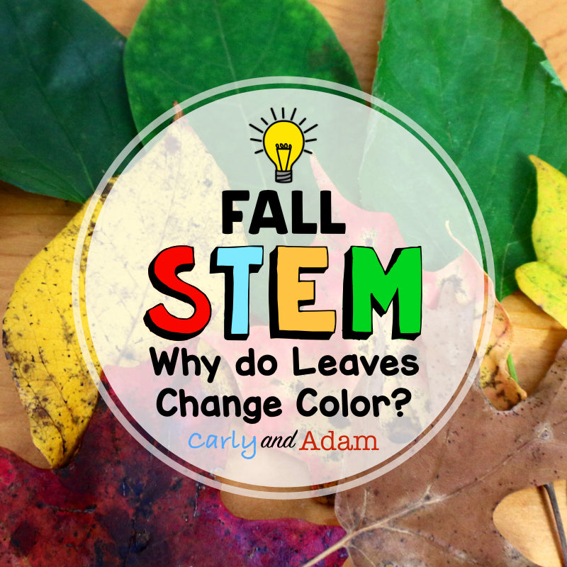 Why Do Leaves Change Color? Autumn Leaves Fall STEM Activity