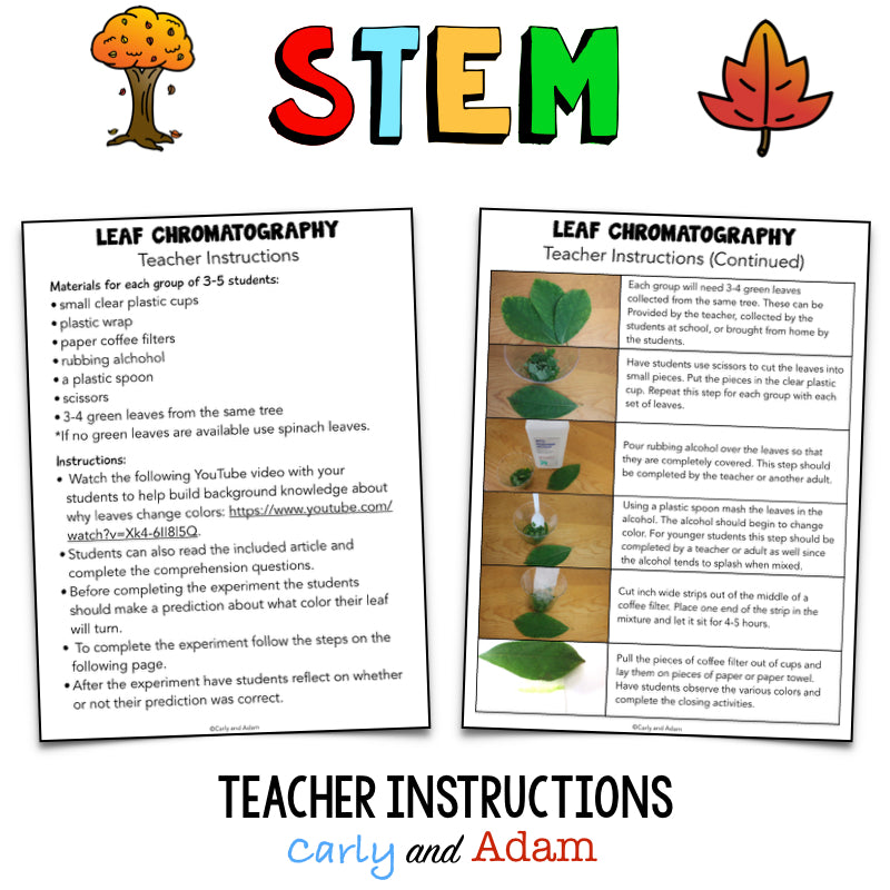 Why Do Leaves Change Color? Autumn Leaves Fall STEM Activity