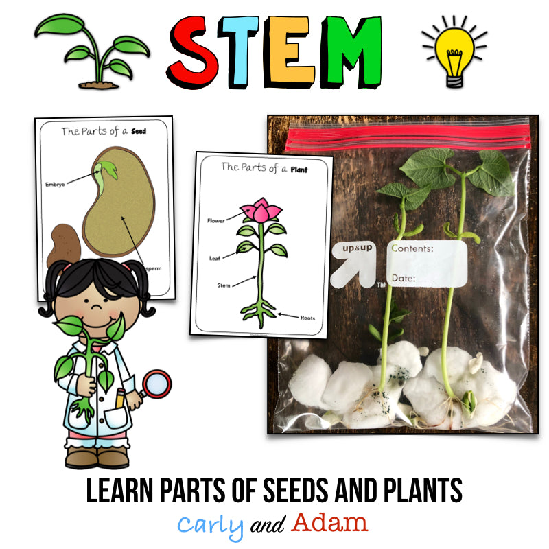 Grow A Plant STEM Activity