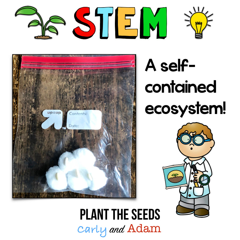 Grow A Plant STEM Activity