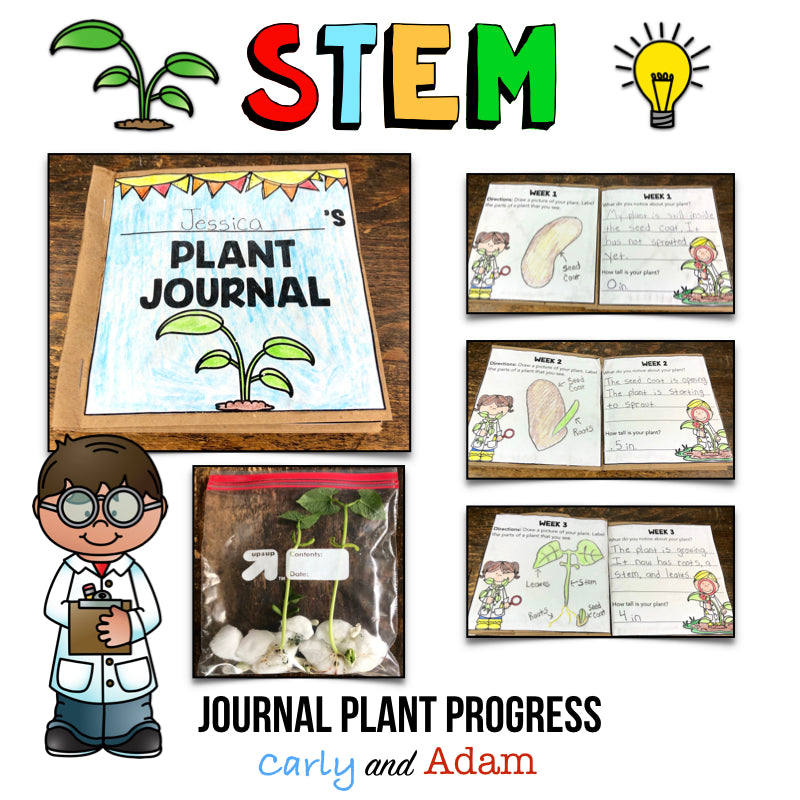 Grow A Plant STEM Activity