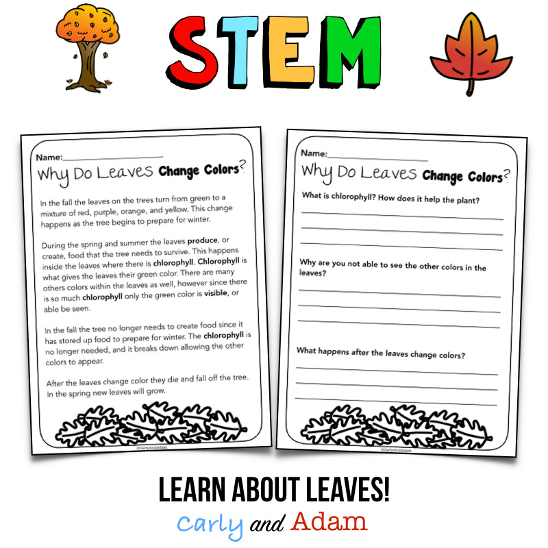 Why Do Leaves Change Color? Autumn Leaves Fall STEM Activity