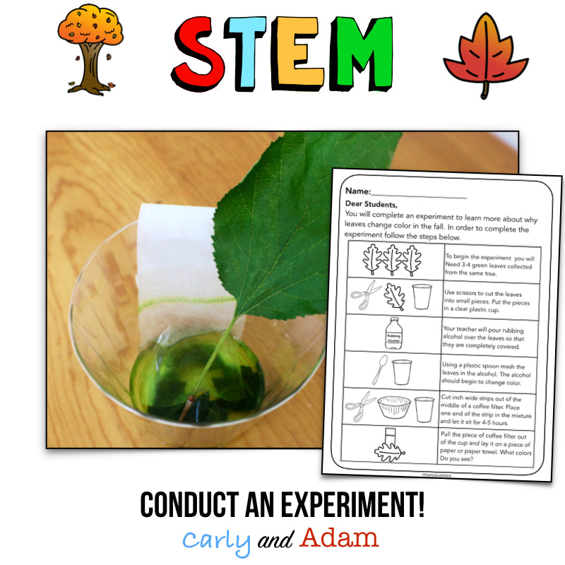 Why Do Leaves Change Color? Autumn Leaves Fall STEM Activity
