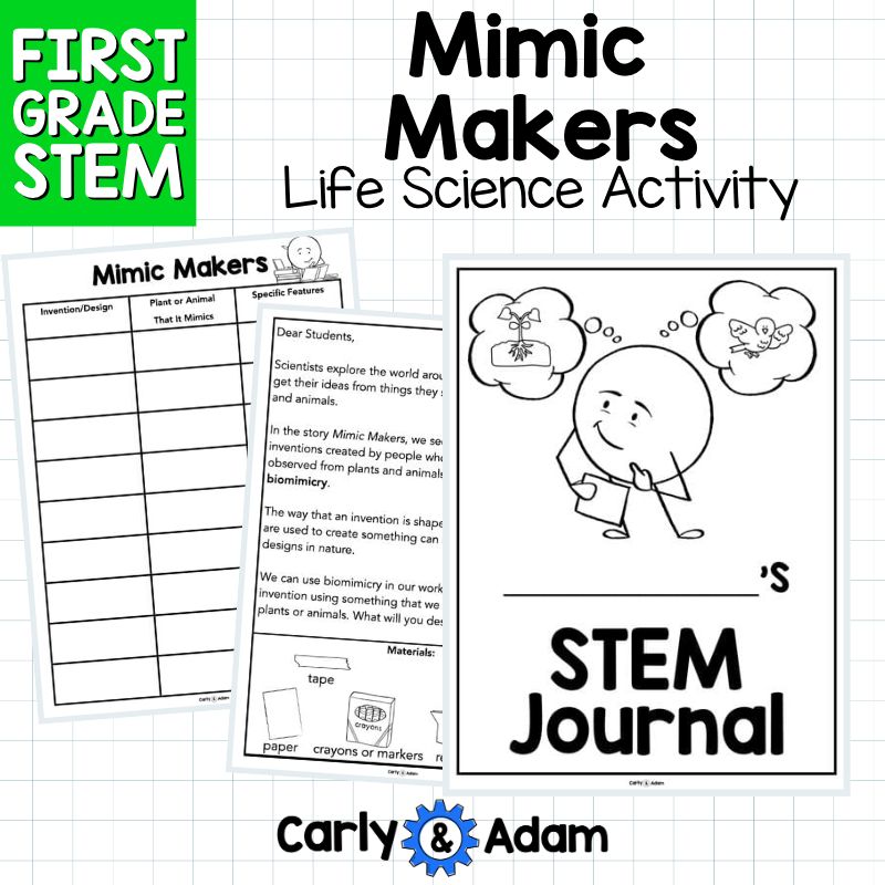1st Grade Science Lesson Mimic Makers Biomimicry STEM Activity — preview 4