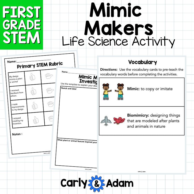 1st Grade Science Lesson Mimic Makers Biomimicry STEM Activity — preview 5