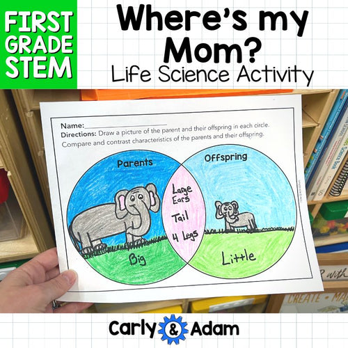 1st Grade Science Lesson Heredity and Traits STEM Activity — preview 1