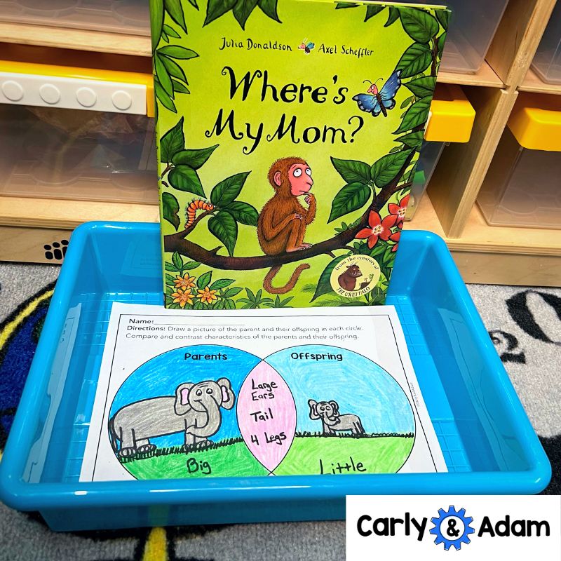 1st Grade Science Lesson Heredity and Traits STEM Activity — preview 2