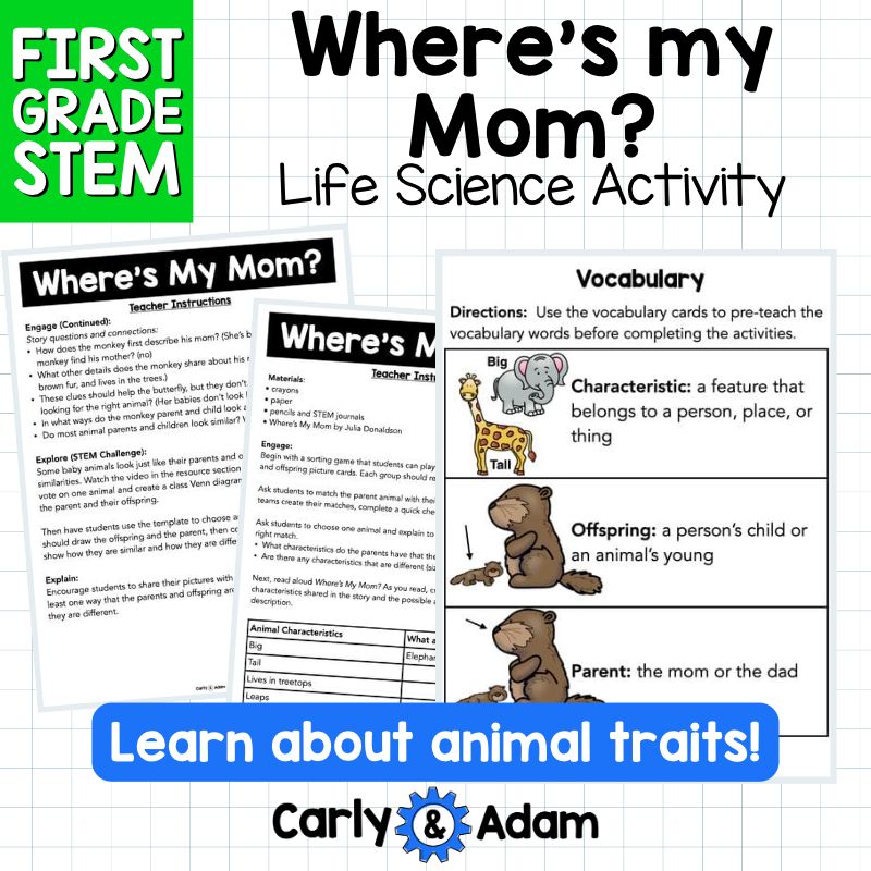 1st Grade Science Lesson Heredity and Traits STEM Activity — preview 3