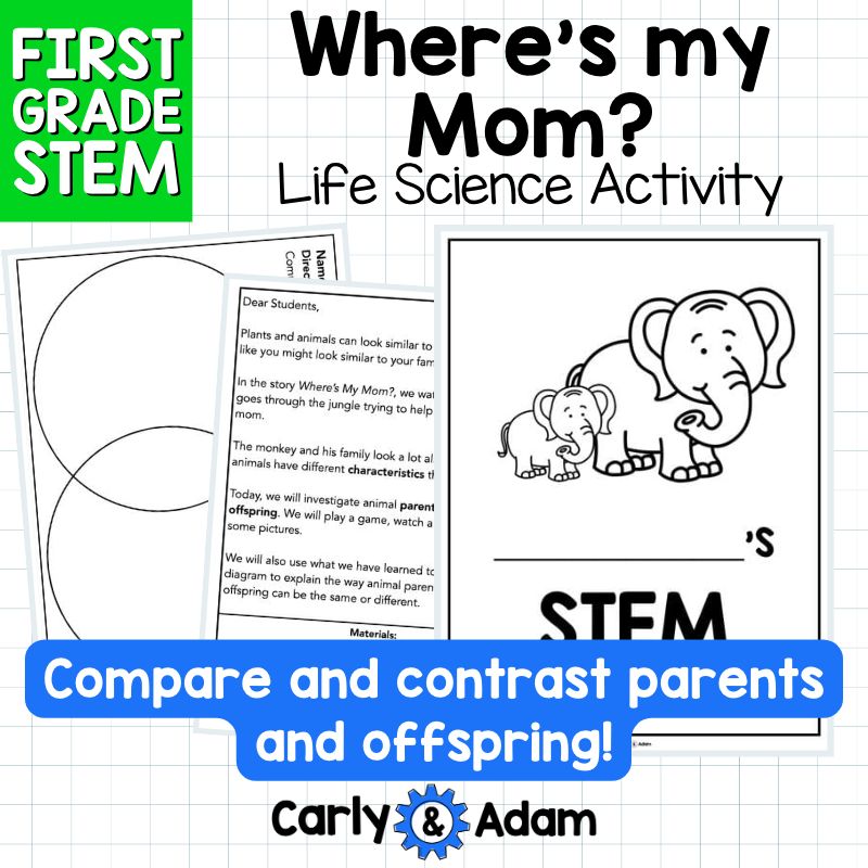 1st Grade Science Lesson Heredity and Traits STEM Activity — preview 4