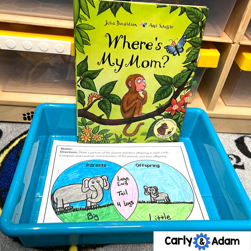 1st Grade Science Lesson Heredity and Traits STEM Activity — preview 7