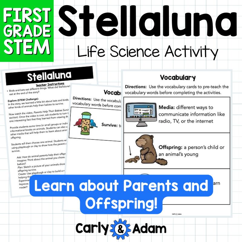 1st Grade Science Lesson Parents and Offspring STEM Activity — preview 4