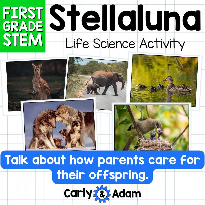 1st Grade Science Lesson Parents and Offspring STEM Activity — preview 5