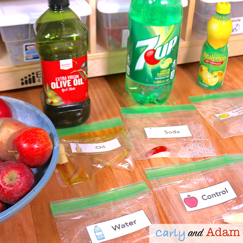 Apple Preserving Science Experiment Activity