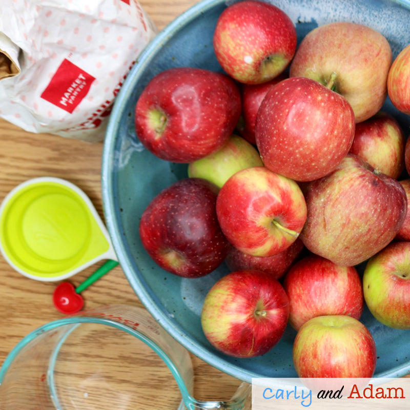 Applesauce Science Experiment Activity