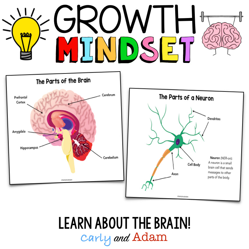 Your Fantastic Elastic Brain Growth Mindset Flip Book Activity