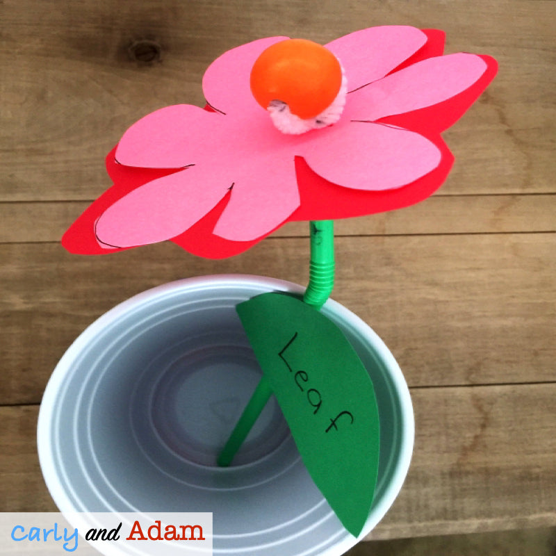 Flower Designer Valentine's Day STEM Activity