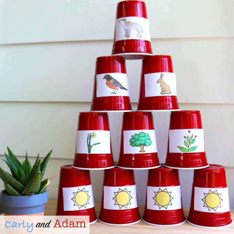 Food Chain Pyramid Life Science STEM Activity