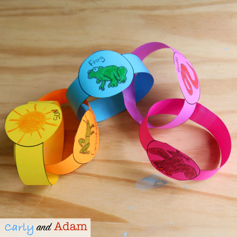Food Chain Pyramid Life Science STEM Activity
