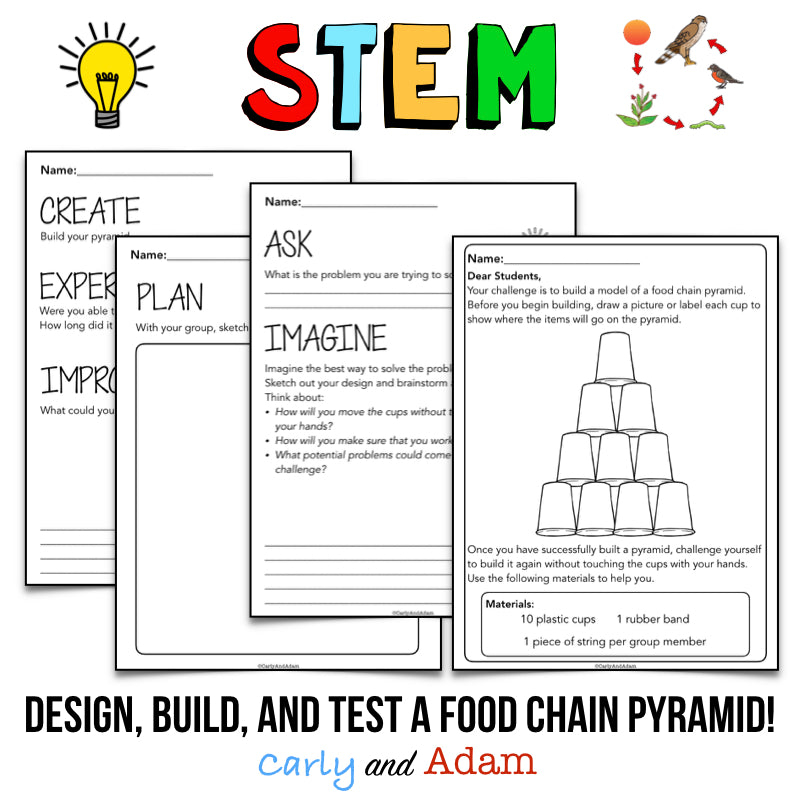 Food Chain Pyramid Life Science STEM Activity