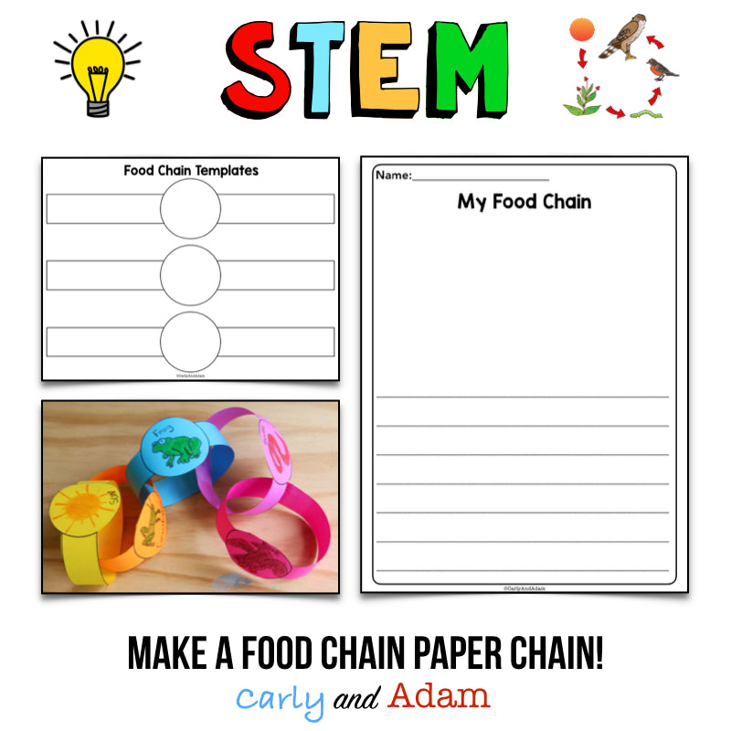 Food Chain Pyramid Life Science STEM Activity