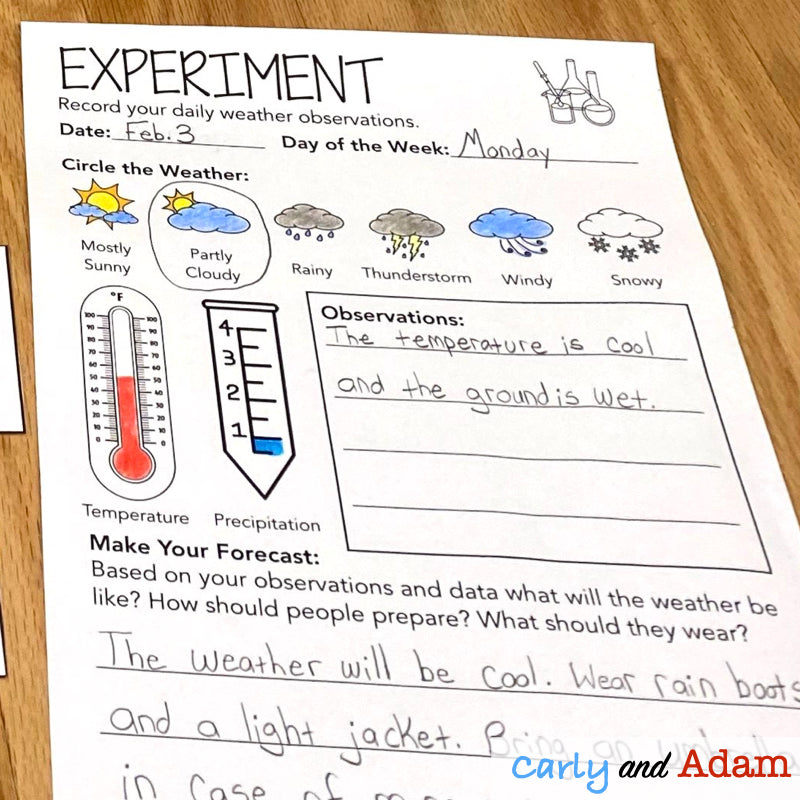 Groundhog Weather School READ ALOUD SCIENCE Activity