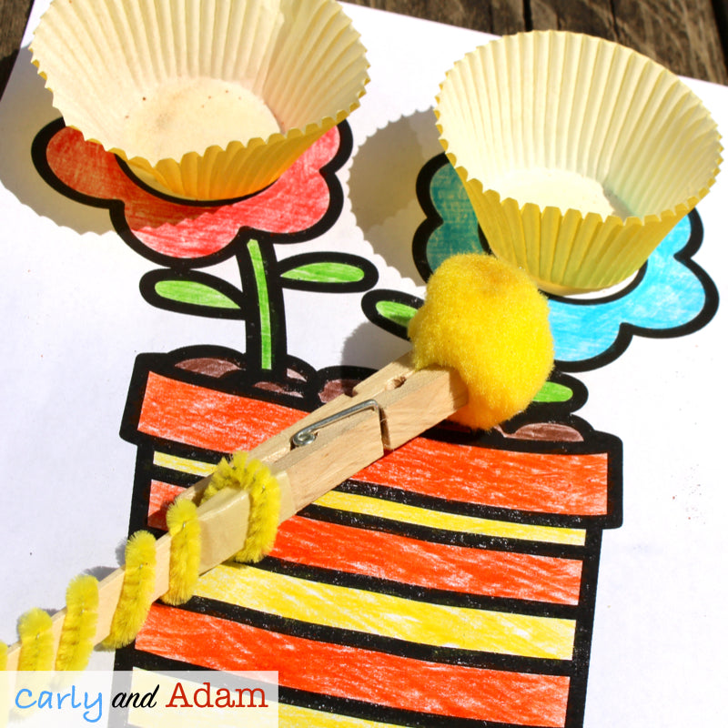 Spring Plant Hand Pollination STEM Activity Pollen Collector