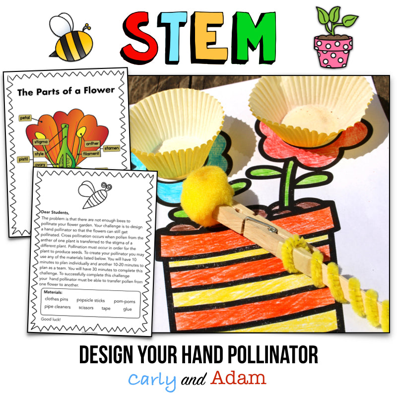 Spring Plant Hand Pollination STEM Activity Pollen Collector