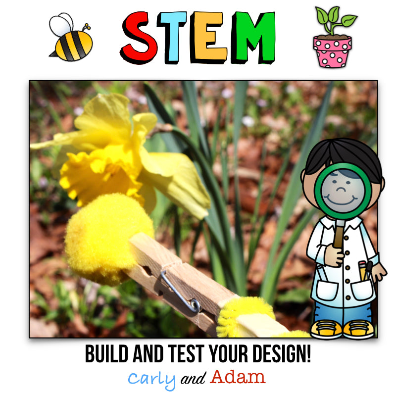 Spring Plant Hand Pollination STEM Activity Pollen Collector