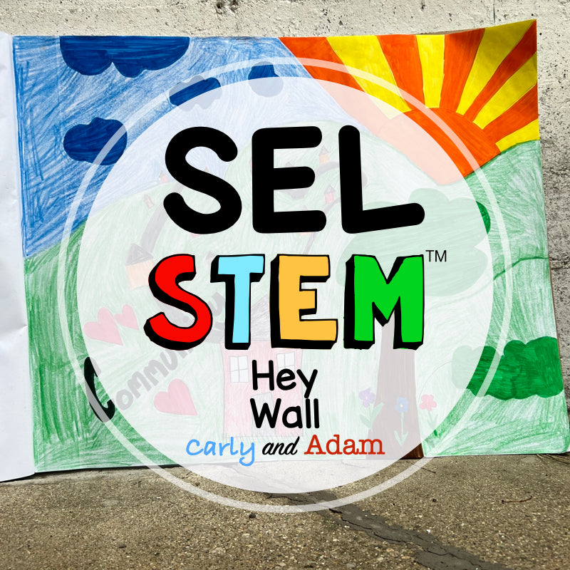 Hey Wall Social Awareness SEL STEM Activity