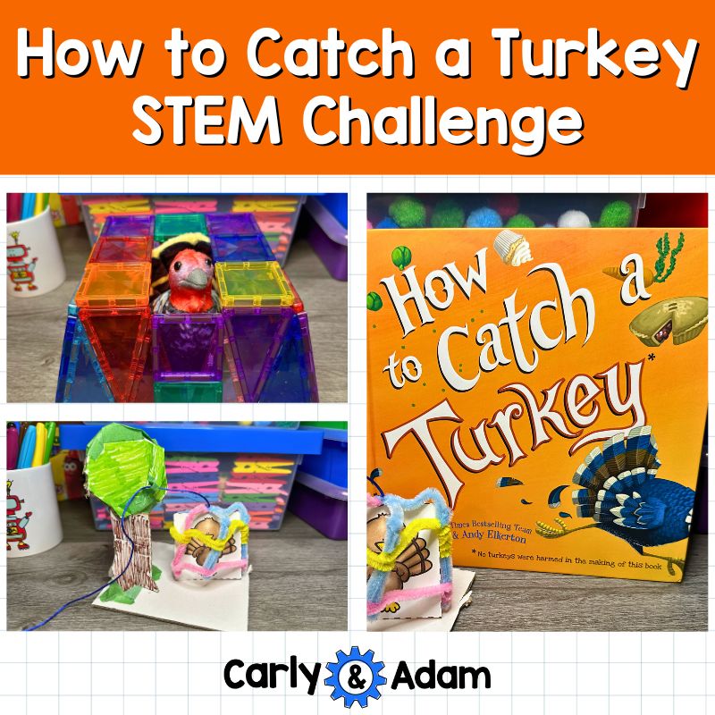Turkey Trap Thanksgiving STEM Activity How to Catch a Turkey